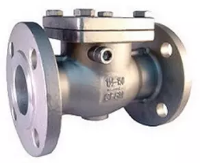 van một chiều lá lật inox 304 lắp bích