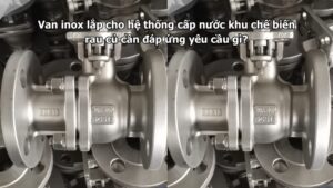 Van inox lắp cho hệ thống cấp nước khu chế biến rau củ cần đáp ứng yêu cầu gì?